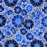 Colour:F