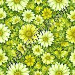 Colour:K