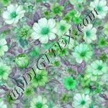 Colour:C