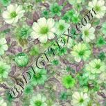 Colour:D