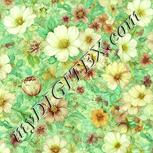 Colour:K