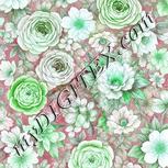 Colour:C