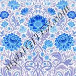 Colour:F