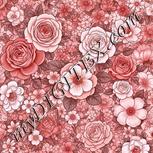 Colour:B
