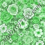 Colour:C