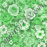 Colour:D
