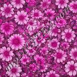 Colour:B