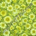 Colour:K