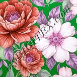 Colour:B
