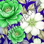 Colour:D