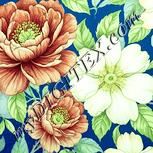 Colour:K