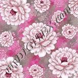 Colour:B