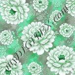 Colour:C