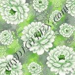 Colour:D