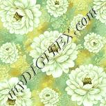 Colour:K