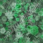 Colour:C