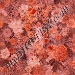 Colour:J