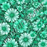 Colour:C