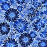 Colour:F