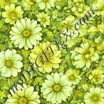 Colour:K