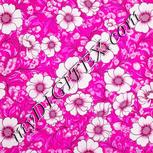 Colour:B