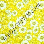 Colour:K