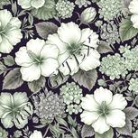 Colour:D