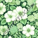 Colour:K