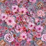 Colour:B
