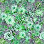 Colour:C