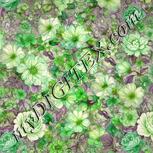 Colour:D