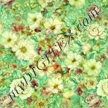 Colour:K