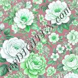 Colour:C