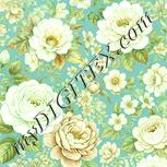 Colour:K
