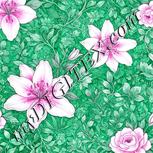 Colour:B