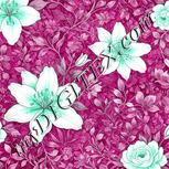 Colour:C