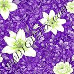 Colour:D