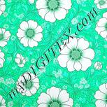 Colour:C