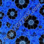 Colour:F