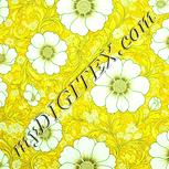 Colour:K