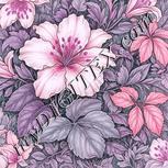 Colour:B