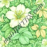Colour:K