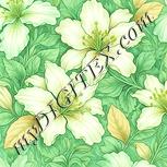 Colour:K