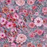 Colour:B