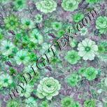 Colour:C