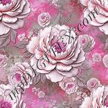 Colour:B