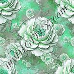Colour:C