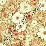 Colour:K