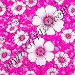 Colour:B