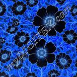 Colour:F